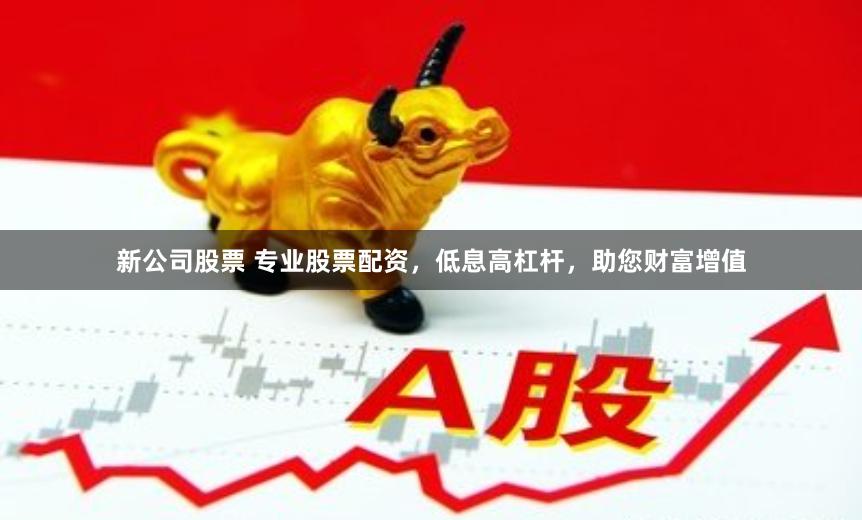新公司股票 专业股票配资,低息高杠杆,助您财富增值