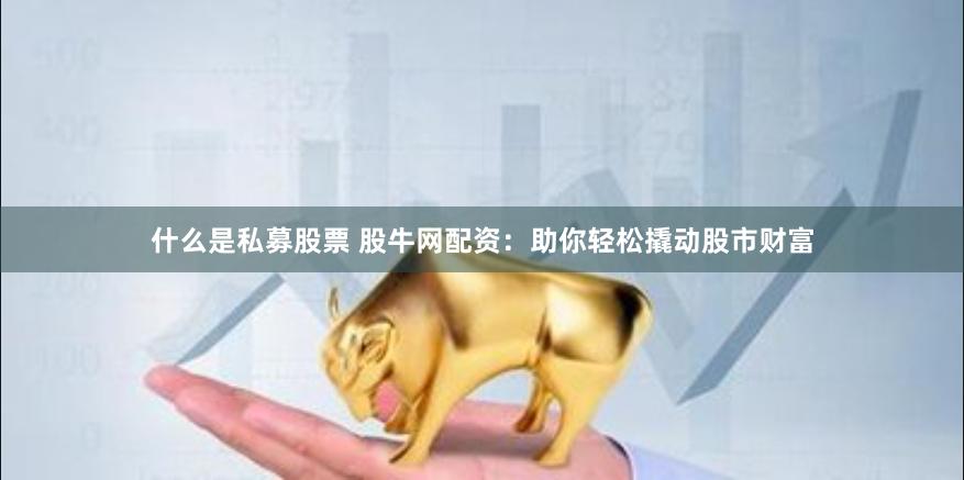什么是私募股票 股牛网配资:助你轻松撬动股市财富